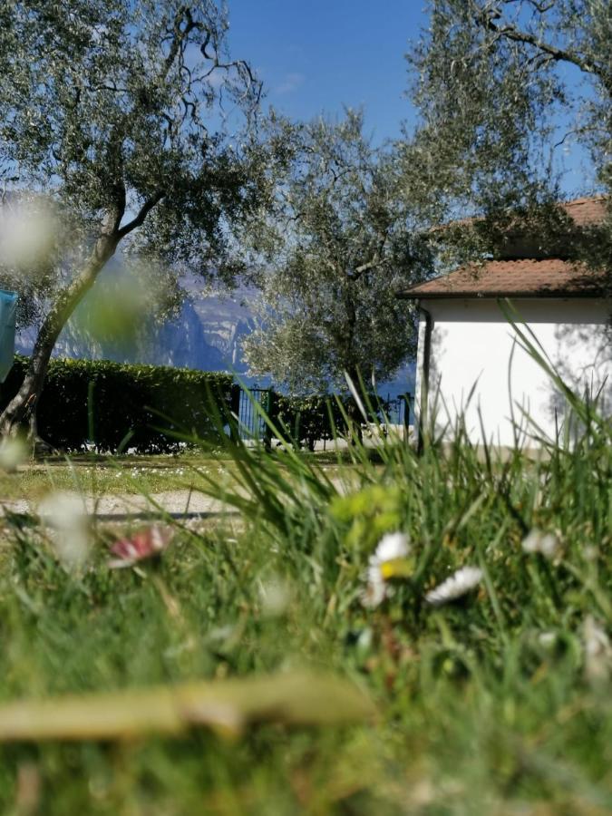 Camping Baldo 布雷佐内加尔达 外观 照片