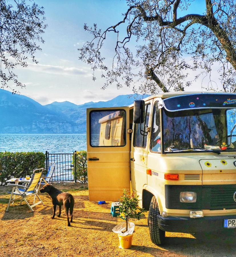 Camping Baldo 布雷佐内加尔达 外观 照片